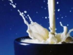 Качествено кисело мляко ще има само при въвеждане на стандарти
