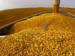 Учен: "Перспективите за търговия със зърно не са добри"
