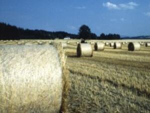 Европейците подкрепят отпускането на помощи за фермерите