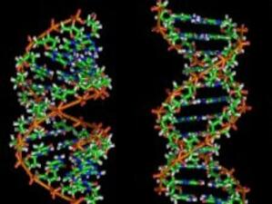 Американски съд отказа патент върху гени на рак