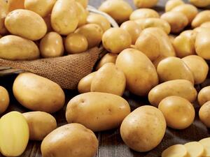 Как всъщност са отгледани "митите картофи", продавани по магазините