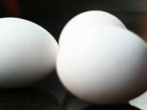 Започват засилени проверки на яйцата за Великден