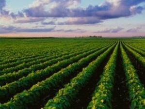 ЕК одобри нова държавна помощ за застраховане на селскостопанска продукция