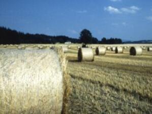 ЕК одобри белгийска схема за отпускане на помощ за фермерите