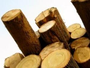Незаконно извозване на дървесина във Видинско и Врачанско