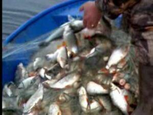 ИАРА: Проекти по мярка за инвестиции в риболов и аквакултури ще се приемат от януари
