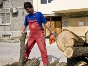 Затворени са 7 склада за дърва за огрев в Бургаско