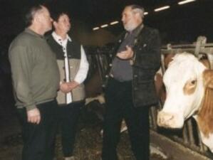 Обмислят официални договори между млекопроизводители и преработватели в ЕС