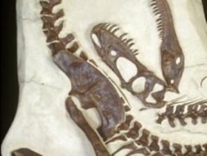 Японци откриха нов вид динозавър