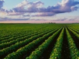 Сделките със земеделски земи се свили с между 20 и 30%