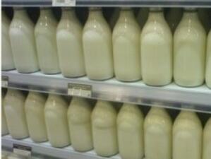 50% е делът на сивия сектор в млекопреработвателния бранш