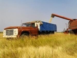 В Добрич съдят собственик на зърнобаза за присвояване в големи размери