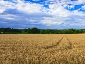 Немска фирма ще заснема земеделските площи