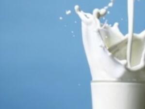 Да защитим млекопроизводителите, настояха шестнадесет страни-членки на ЕС