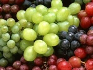 21 тона грозде се изсипаха на пътя Велико Търново - Габрово
