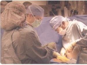 10 трансплантации са били извършени през август