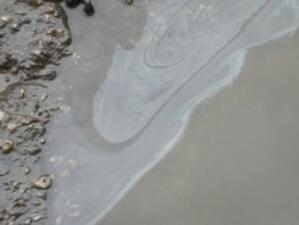 Петролен разлив в близост до Нова Зеландия