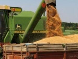 Производители недоволни от изкупната цена на зърното