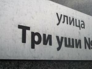 Основните индекси на борсовата търговия у нас отново "на зелено"