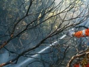 Ръст на горските пожари в ЕС