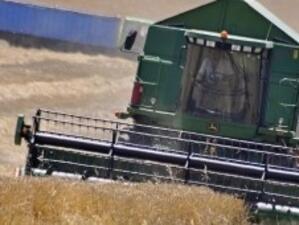 13 търговци на зърно от Североизточна България - без връзка с НАП