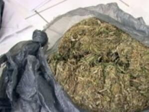 Над половин килограм марихуана откриха митничари в Русе