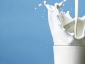 ЕС увеличава помощта за млекопроизводителите