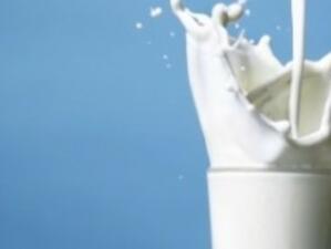 ЕС поиска проучване и предложения за стабилизиране на цената на млякото
