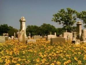 Мафията в Неапол посегна и на продавачите на цветя на гробищата