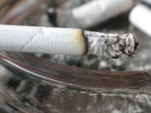 Контрабандата на цигари надхвърля 30%