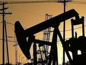Цената на петрола пада след прогнозите, че ОПЕК няма да намали добива