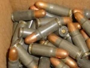 ЕС осъжда насилието в Шри Ланка, но продължава с износа на оръжие