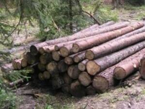 Откриха завод за продукти от дървесина в Разлог