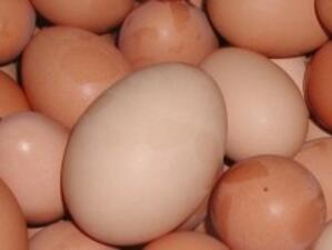 Полски яйца на съмнително ниска цена заляха пазара преди Великден