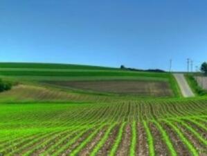 3000 земеделски производители няма да получат евросубсидии