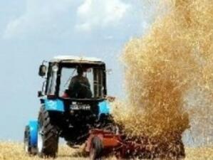 Над 30% от земеделците в Добричко без субсидии за единица площ