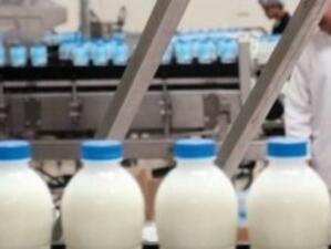 Проверяват млекопреработвателните предприятия за растителни мазнини в продуктите