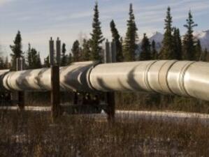 Тошева: България ще получи руски газ на префенциални цени