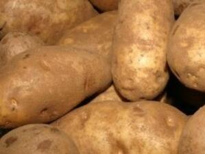 БАБХ: Заразата по гръцките картофи е локализирана
