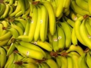 СТО не уважи обжалването на ЕС относно вноса на банани в Европа