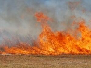 Горски пожар унищожи 300 къщи в Тексас