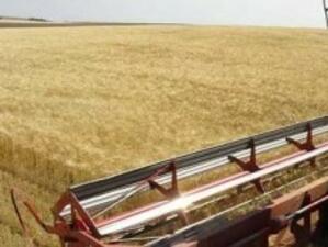Цветанов: "Логично e цената на хляба да падне, след като добивът е висок"