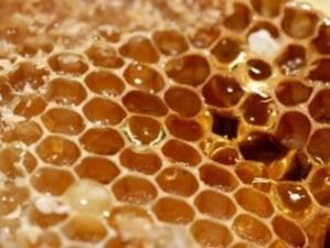 Хората все по-рядко слагат на трапезата си мед