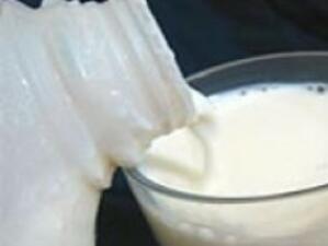 Млекопроизводителите започват безсрочна стачка