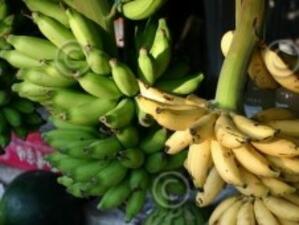 ЕС отстъпи при диспута за търговията с банани