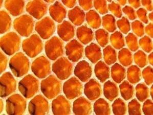 Прополисът и пчелното млечице – извор на здраве и дълголетие