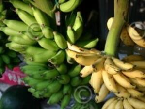 СТО потвърди решението за вноса на банани в ЕС от Еквадор