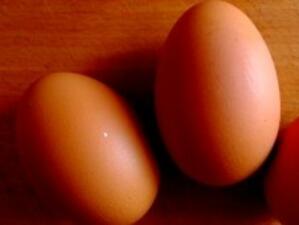 Съдът потвърди: Имало е картел на пазара на пилешко и яйца