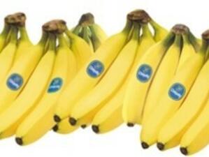 СТО ще обяви решението си за митата за внос на банани в ЕС