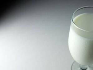Френска фирма с интерес да инвестира в млечния сектор у нас